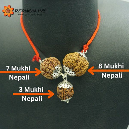 Rudraksha For Wealth