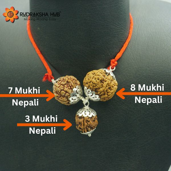 Rudraksha For Wealth
