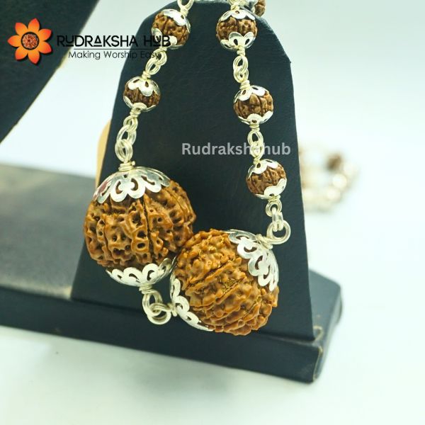 Rudraksha for Power and Authority