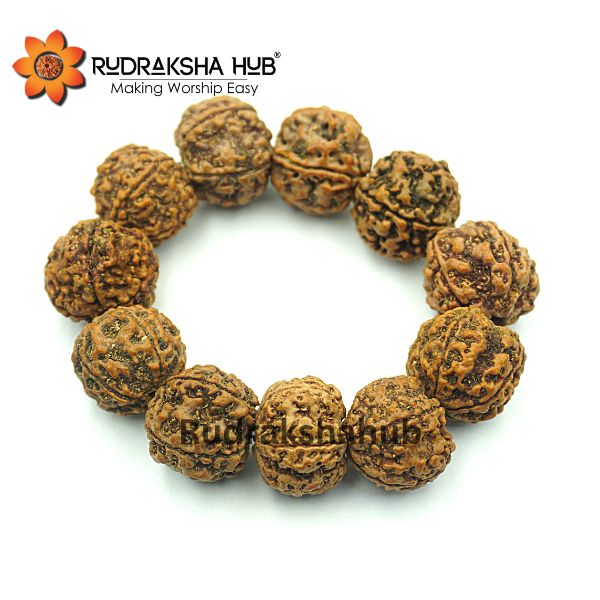 5 मुखी रुद्राक्ष कंगन (नेपाली)
