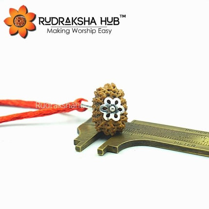 14 मुखी रुद्राक्ष शुद्ध चांदी पेंडेंट (इंडोनेशियाई)