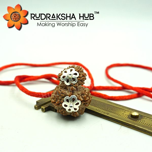 Garbh Gauri Rudraksha Pendant