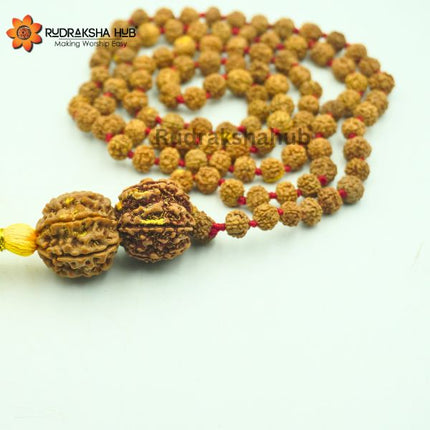 व्यवसायियों के लिए रुद्राक्ष