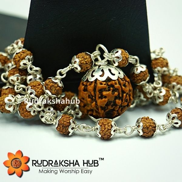 6 Mukhi Rudraksha Pendant in Silver Mala