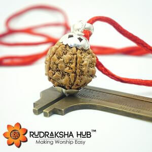 5 Mukhi Rudraksha Silver Pendant