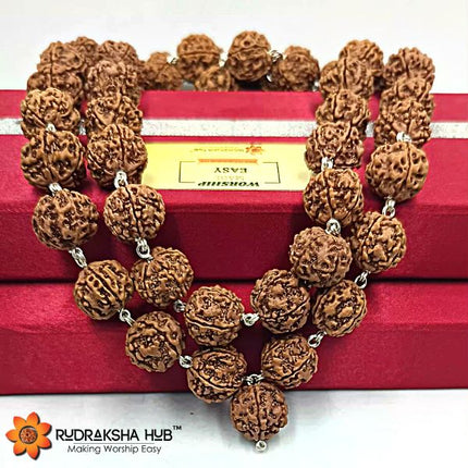 Rudraksha Kantha Mala Pure Silver