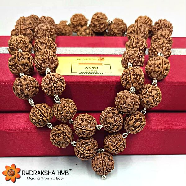 Rudraksha Kantha Mala Pure Silver