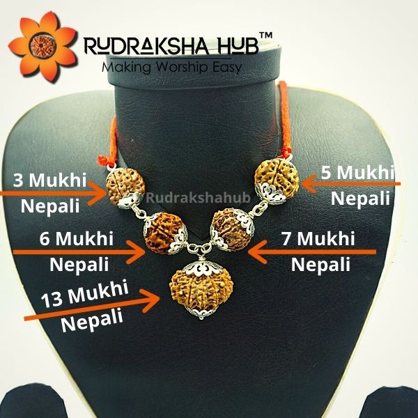 Rudraksha for Early Marriage