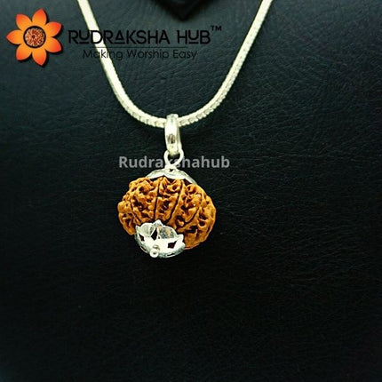 शुद्ध चांदी की चेन में 8 मुखी रुद्राक्ष