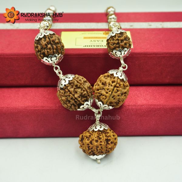 Rudraksha for Happiness