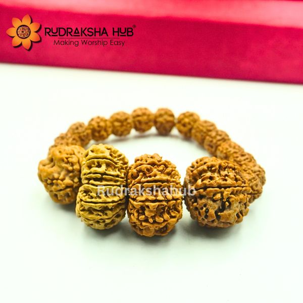 Rudraksha for Fertility Issues