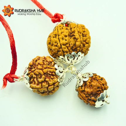 Rudraksha For Wealth