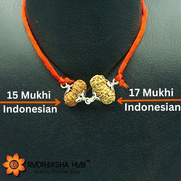 Rudraksha for Marriage and Health
