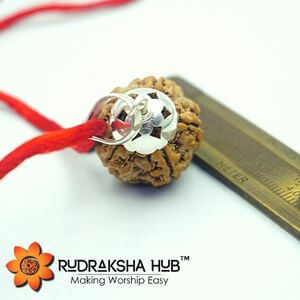 5 Mukhi Rudraksha Silver Pendant