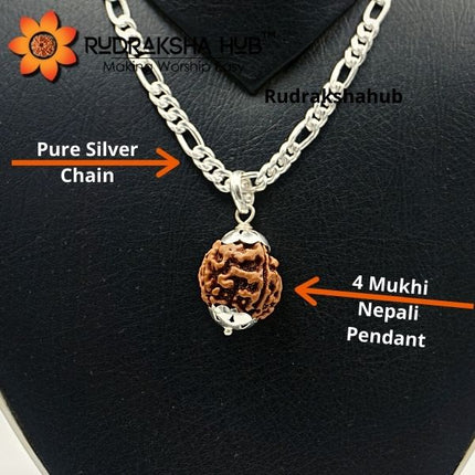 4 Mukhi Rudraksha Pendant in Pure Silver Chain