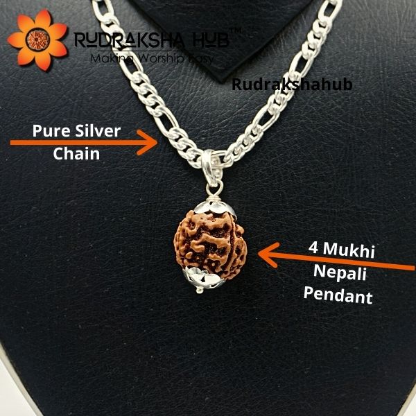 4 Mukhi Rudraksha Pendant in Pure Silver Chain