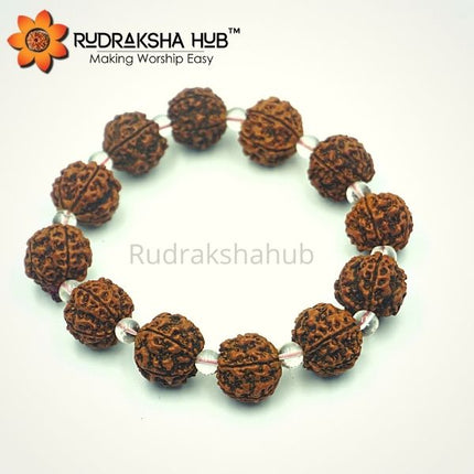 Rudraksha Sphatik Bracelet