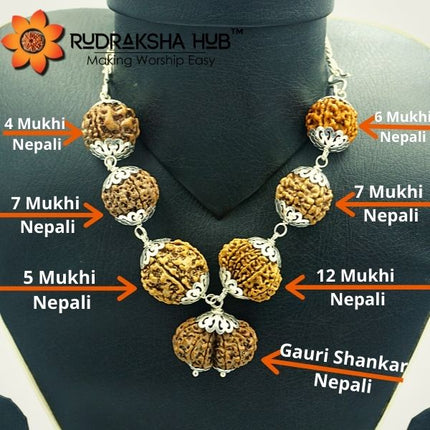 Rudraksha for Good Standard of Life