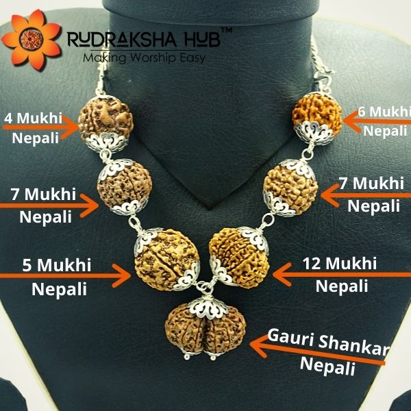 Rudraksha for Good Standard of Life