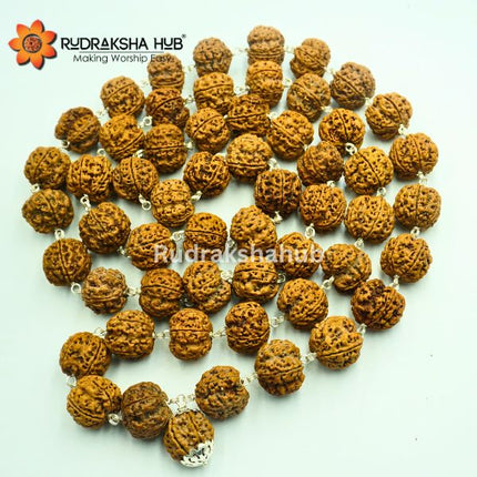 Super Collector Rudraksha Kantha Mala Pure Silver Wired