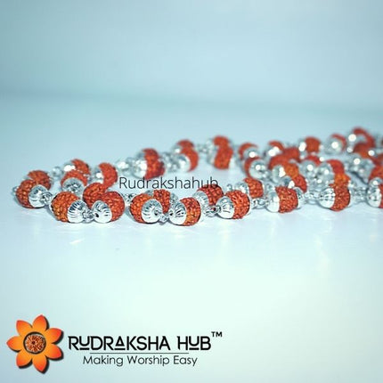 Rudraksha Silver Capped Mala