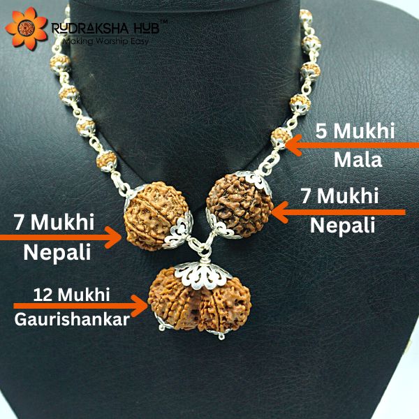 Rudraksha for Married Life Success