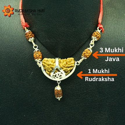 Rudraksha for Strength