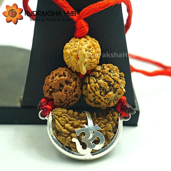 Rudraksha For Gaining Knowledge