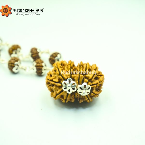Rudraksha for Female Fertility