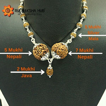 Rudraksha for Calmness