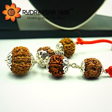 Rudraksha for Early Marriage