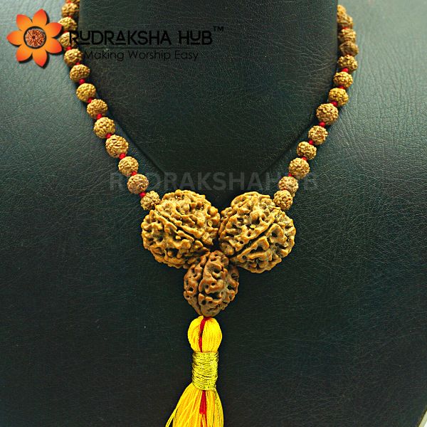 Rudraksha For Anxiety Issues