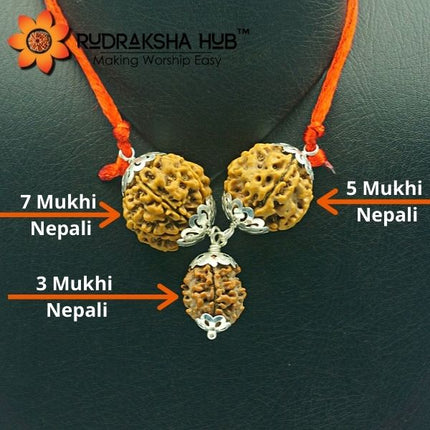 Rudraksha for Job promotion