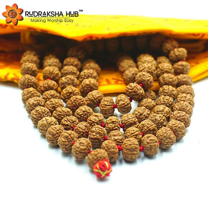 Rudraksha Jaap Mala 10mm