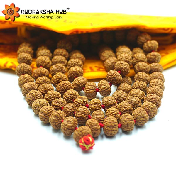 Rudraksha Jaap Mala 10mm