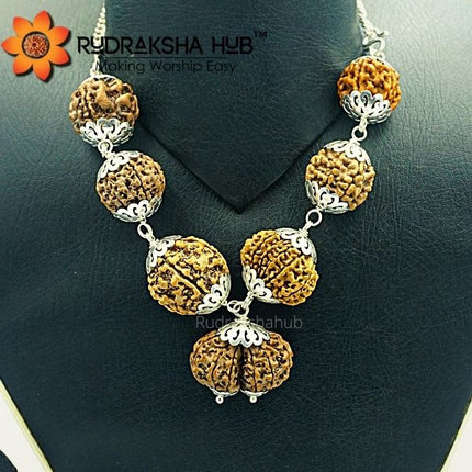 Rudraksha for Good Standard of Life