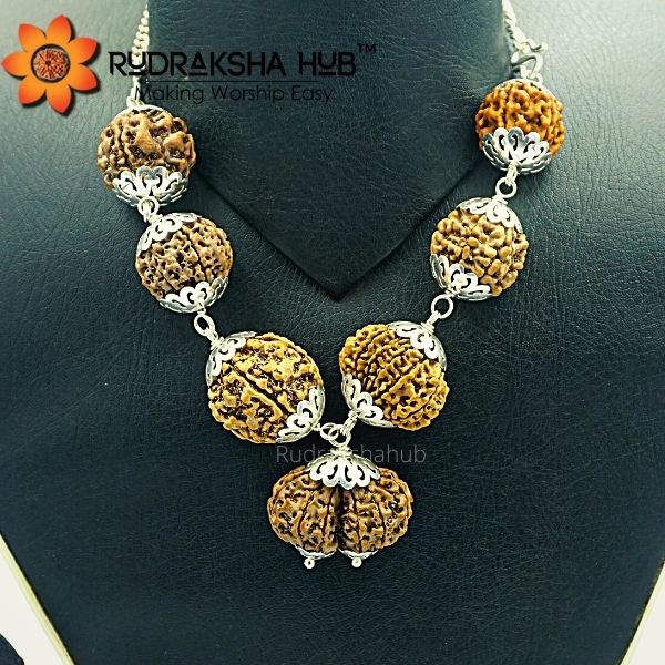 Rudraksha for Good Standard of Life