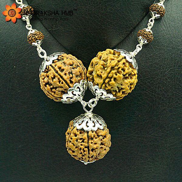 Rudraksha for Intelligence and Smartness