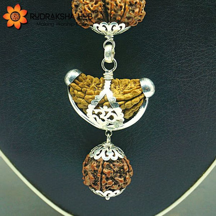 Rudraksha For Overall Happiness