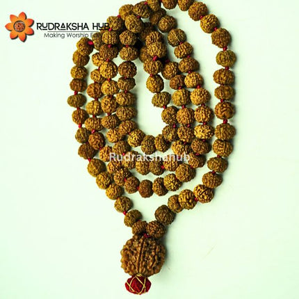 7 Mukhi Rudraksha Guru Mala