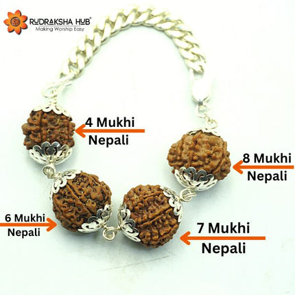 Rudraksha for Focus