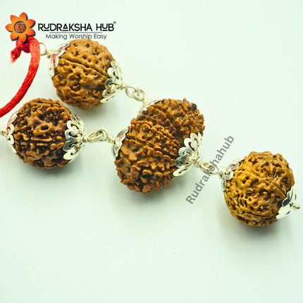 Rudraksha for True Love