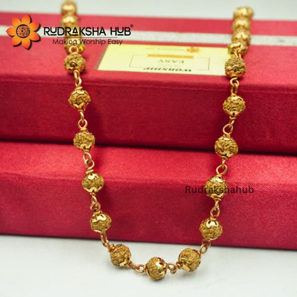 Rudraksha for Working Women