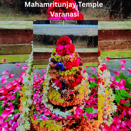 1-14 Mukhi Siddha Rudraksha Mala (Nepali)