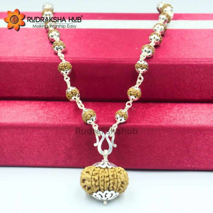 Money Magnet Rudraksha
