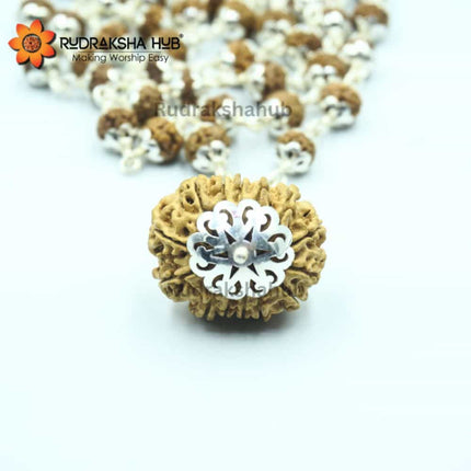 Money Magnet Rudraksha