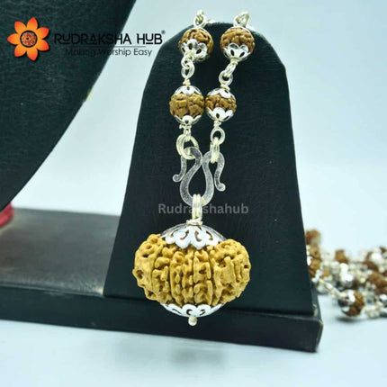 Money Magnet Rudraksha
