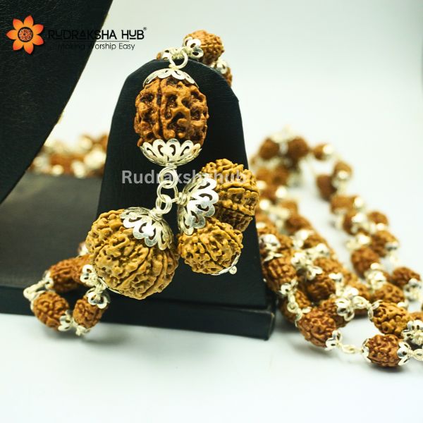 Rudraksha for Healthy Relationship