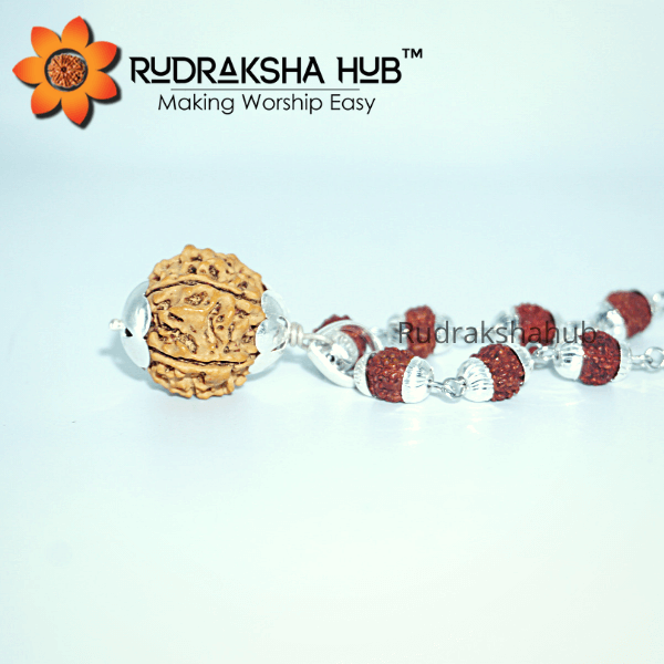 6 Mukhi Rudraksha in Silver Mala