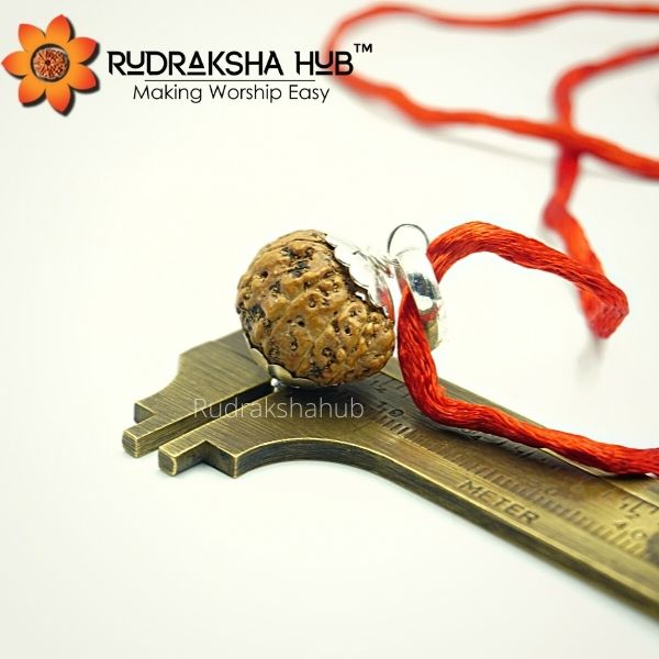 13 Mukhi Rudraksha Pure Silver Pendant (Indonesian)